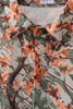 Camo Wildlife Embroidered Dad&me Button Down Shirt