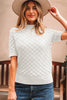 White Fish Scale Textured Knit Ribbed High Neck Short Sleeve Sweater