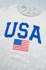 Light Grey Mock Neck Reversible USA/America Graphic Sweatshirt