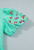 Mint Green Frilled V Neck Flower Embroidered Puff Sleeve Textured Blouse