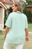 Green Stripe Plus Size St Patricks Day Round Neck T Shirt