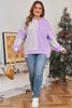 Purple Stripe Patchwork Buttoned Drop Shoulder Plus Size Pullover