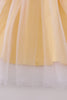Yellow princess embroidery ruffle dress