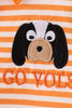 Tennessee Go vols embroidery stripe top