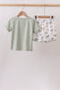 Green Dinosaur Set