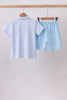 Blue Apple Pocket Set