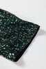 Evergreen Glitter Sequin Open Front Long Sleeve Top