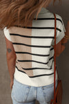 Sky Blue Stripe Colorblock Quarter Zip Collar Sweater Vest