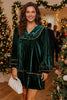 Blackish Green Leopard Trim Velvet Long Sleeve Shift Dress