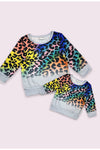Rainbow Leopard Sweater
